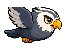 Hawk