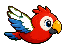 Scarlet Parrot